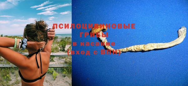 a pvp Алексеевка
