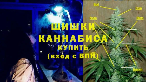 хмурый Алзамай