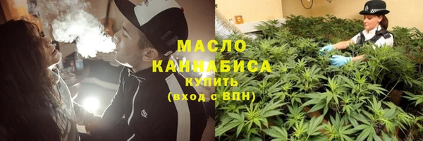 хмурый Алзамай