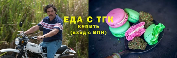 хмурый Алзамай