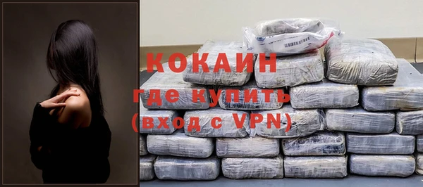 хмурый Алзамай