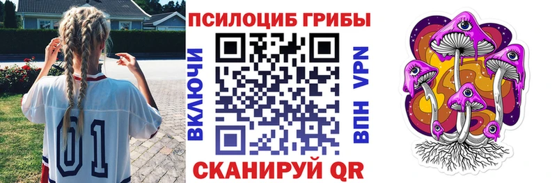Псилоцибиновые грибы Cubensis купить наркотик Ейск